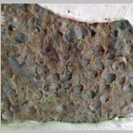 ordovician rock slab with many very small brachiopods