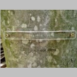 close up of beech bark with braille sign