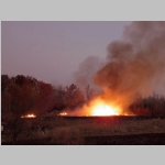 Tall grass field encircled with fire 