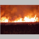 fire feeding toward the center of the field