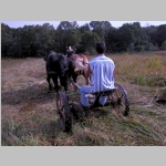 Dale mowing the gamma grass