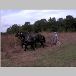 Dale mowing along the edge of the gamma grass field