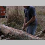 loading a log on the bandsaw mill