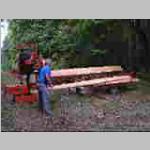 sawing a American Cherry log