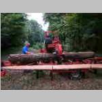 sawing a American Cherry log