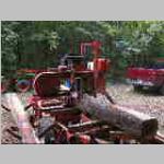 sawing a American Cherry log