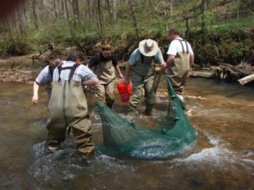 Students seining at Brush Creek in Green County