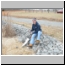 photor126.jpg
